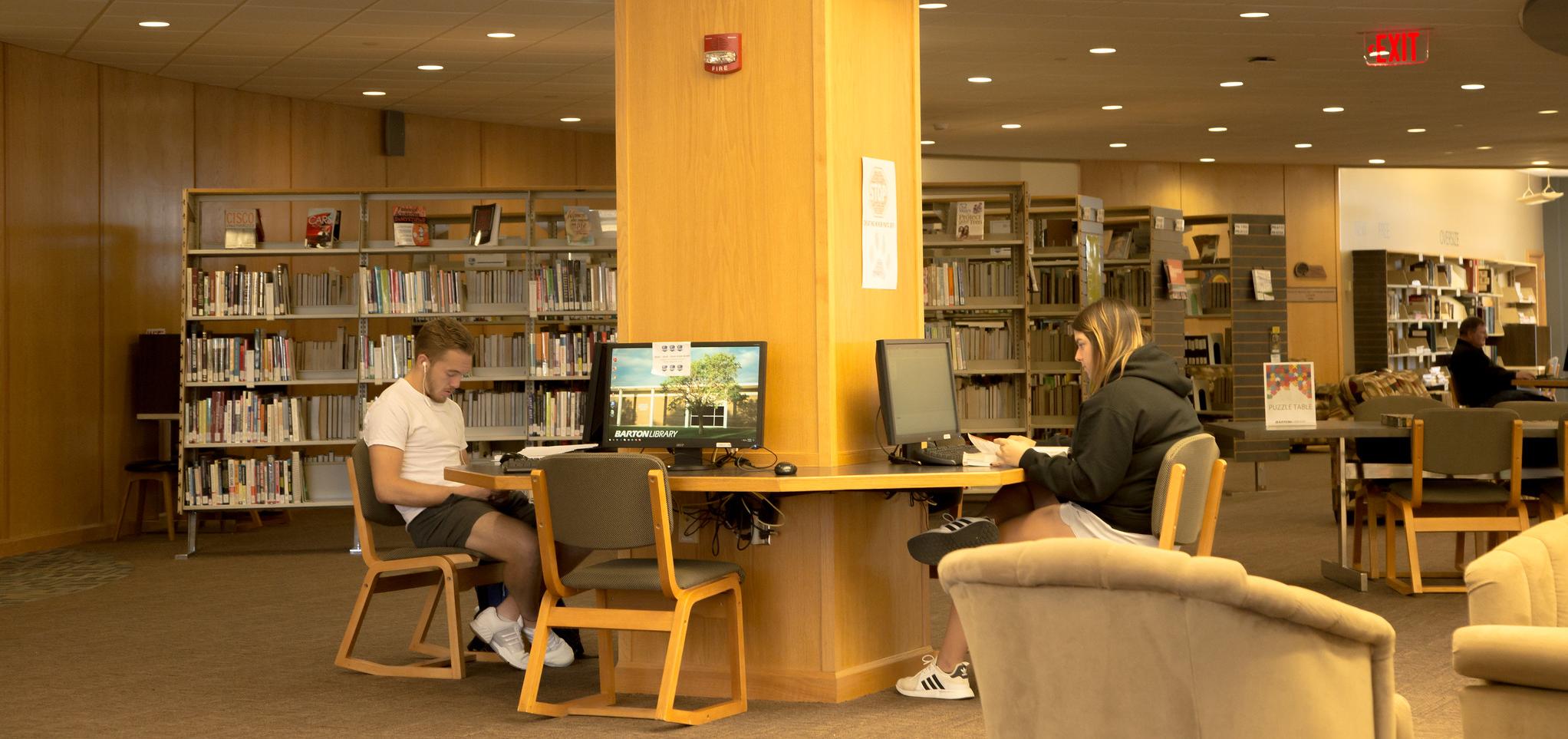 students studying in library